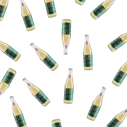 Salinger Half-Wits | 355mL